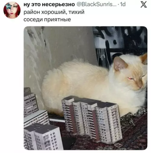 Смешная картинка №804227