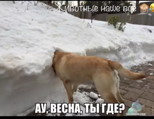 Смешная картинка №325422