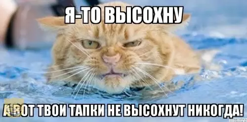 Смешная картинка №382863 #приколы #картинки #мемы ?
