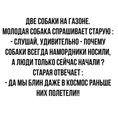Смешная картинка №528036