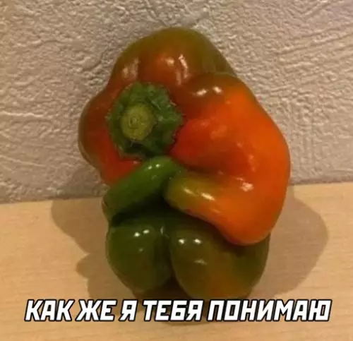 продолжение Смешная картинка №638240
