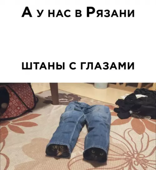 Смешная картинка №502379