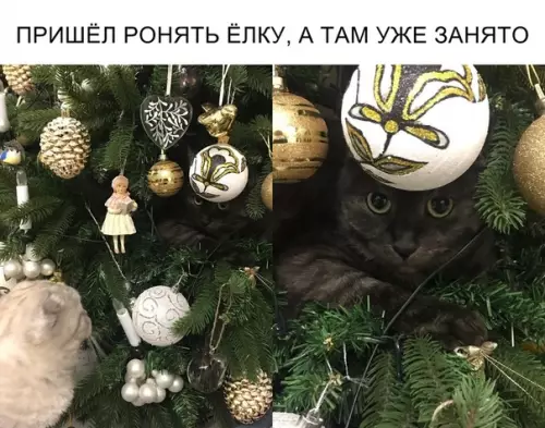 Смешная картинка №321875