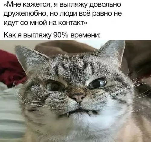 Смешная картинка №780780