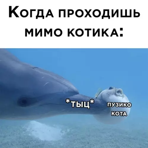 Смешная картинка №589557