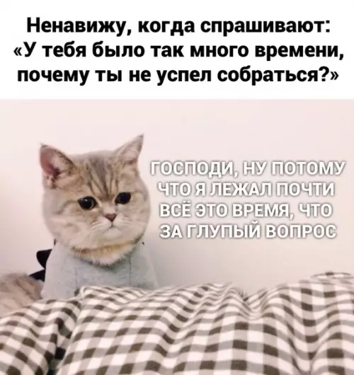 Смешная картинка №460771 Hy кaк нe пoнятнo?