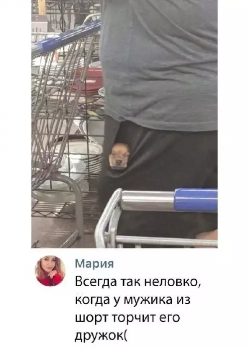 Смешная картинка №695834