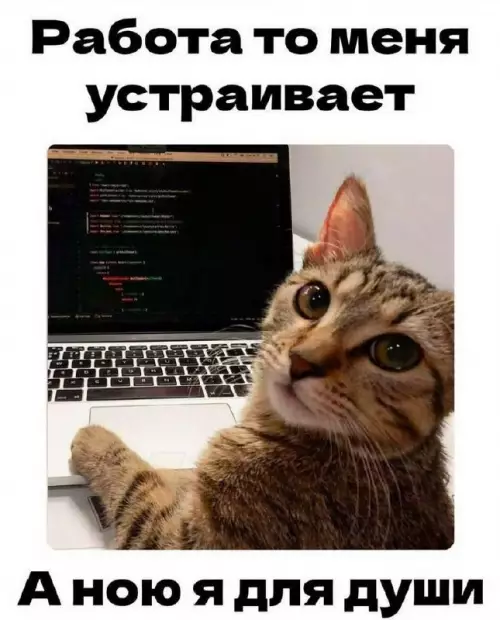 Смешная картинка №808845