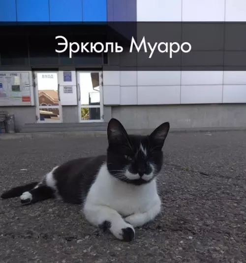 Смешная картинка №281236 Тот самый