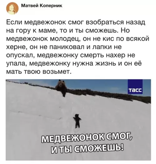 Смешная картинка №312432