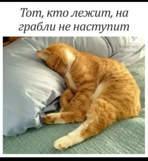 Смешная картинка №790617 Мудрость на века