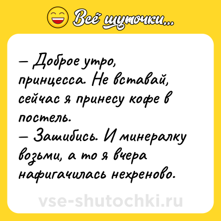 Шутка: Доброе утро, принцесса. Не вставай, сейчас я принесу кофе в постель. Зашибись. И минералку возьми, а то я вчера нафигачилась нехреново.