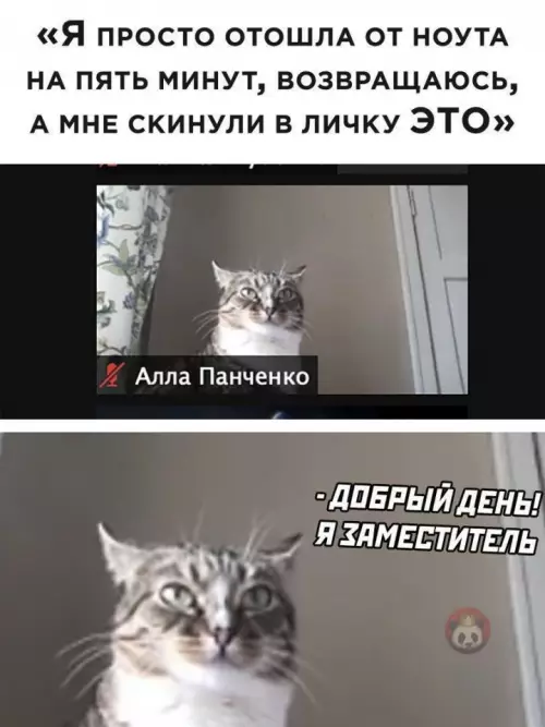 Смешная картинка №645008 Прелести дистанционки ?