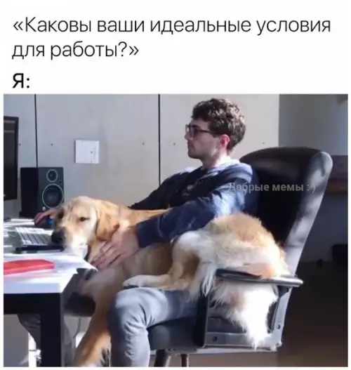 Смешная картинка №294758