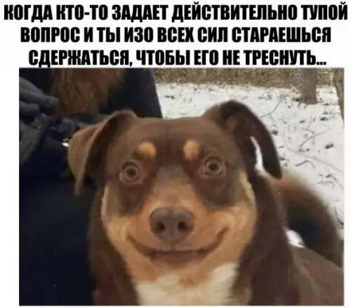 Смешная картинка №185083