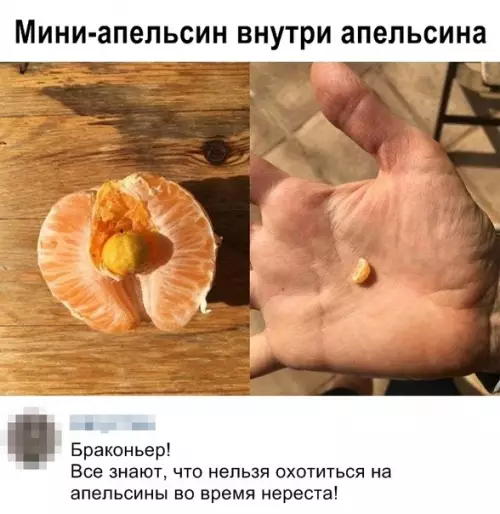 Смешная картинка №365011