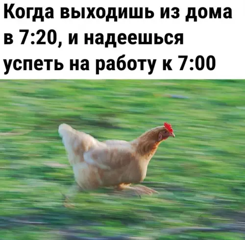 Смешная картинка №676508 И такое каждый  день