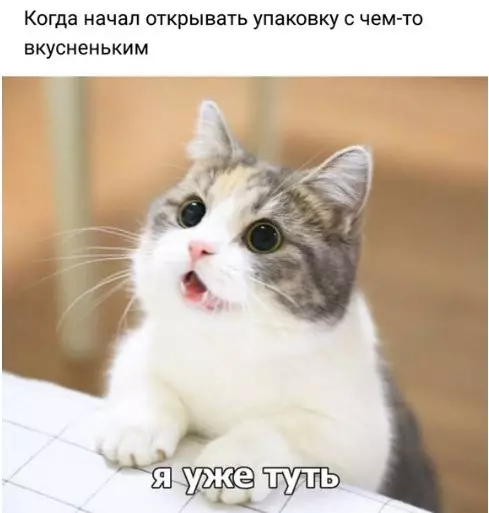 Смешная картинка №246666