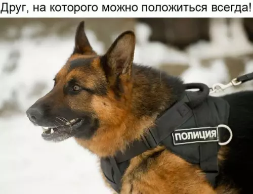 Смешная картинка №203544