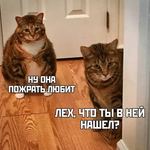 Смешная картинка №425998