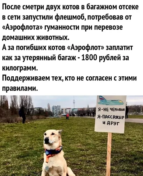Смешная картинка №454194 Давайте не оставим это вот так