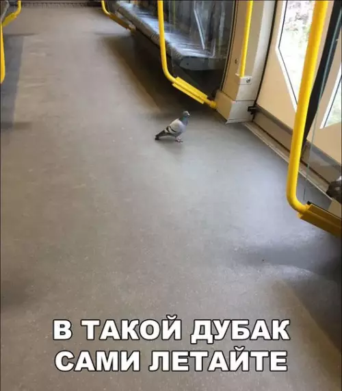 Смешная картинка №243288