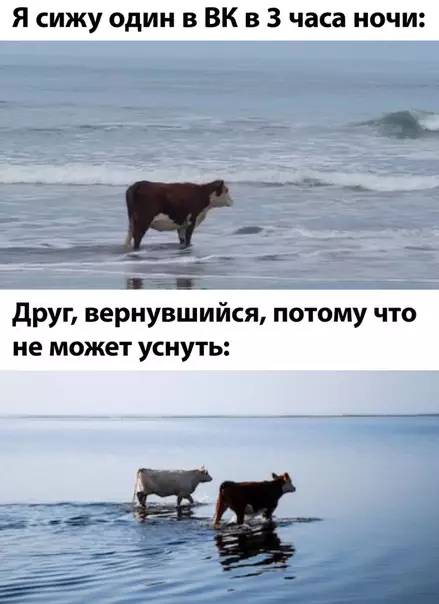 Смешная картинка №510156