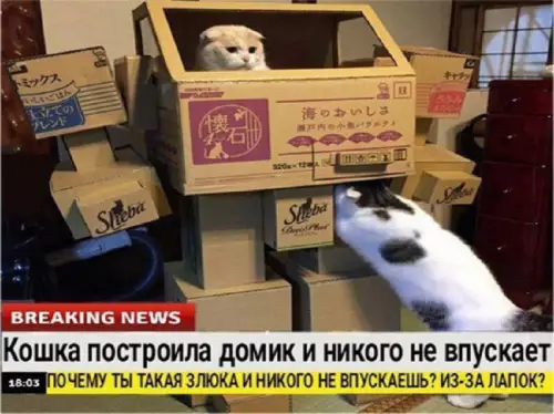Смешная картинка №688569