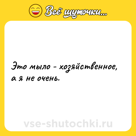 Шутка: Это мыло - хозяйственное, а я не очень.