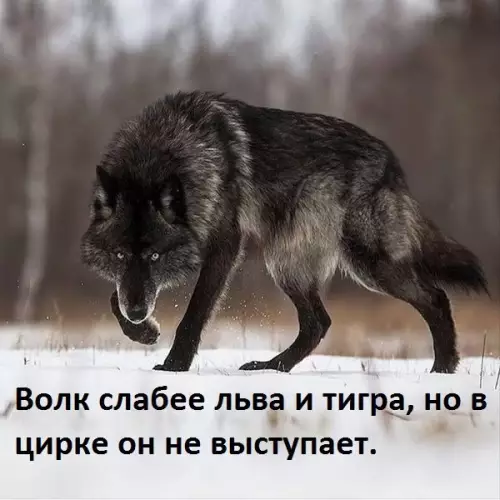 Смешная картинка №246151
