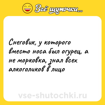 Шутка: Снеговик, у которого вместо носа был огурец, а не морковка, знал всех алкоголиков в лицо