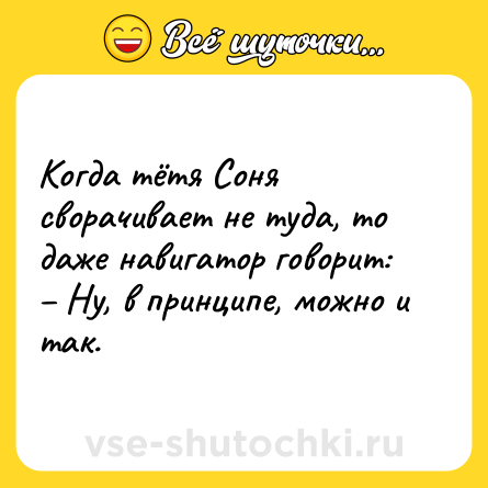 Шутка: Когда тётя Соня сворачивает не туда, то даже навигатор говорит:<br>– Ну, в принципе, можно и так.