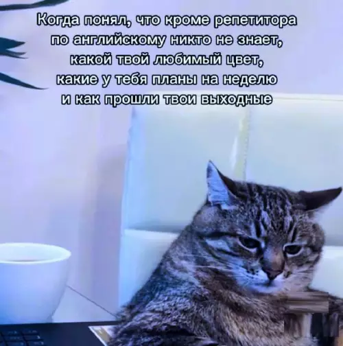 Смешная картинка №732182