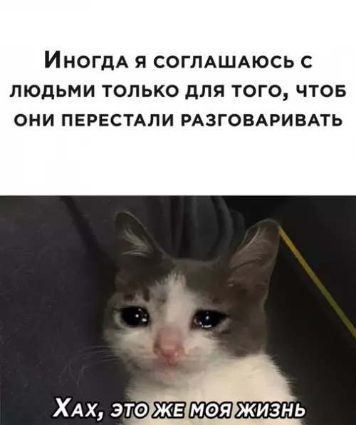 Смешная картинка №537435