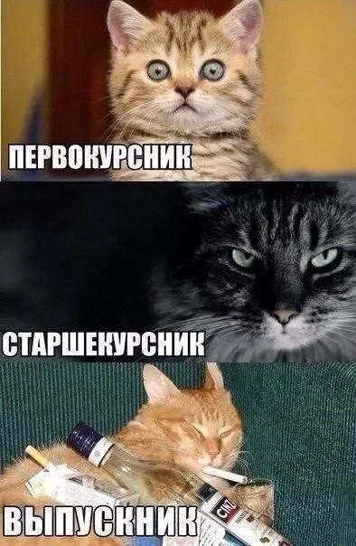 Смешная картинка №198062