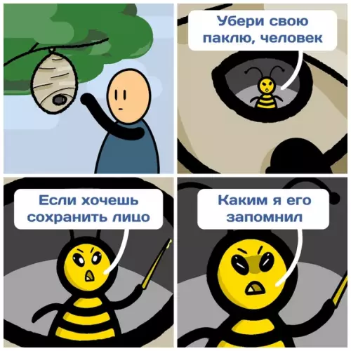 Смешная картинка №296663 Ученые выяснили, что пчелы и осы способны распознавать человеческие лица