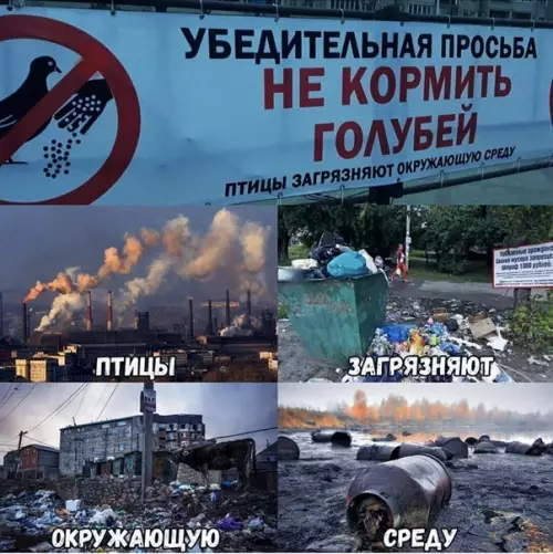 Смешная картинка №295330 Долбанные птицы, хватит загрязнять окружающую среду!