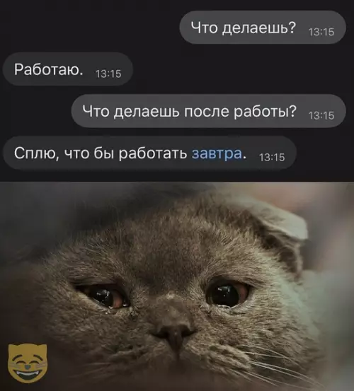 Смешная картинка №342787 #приколы #картинки #мемы ?