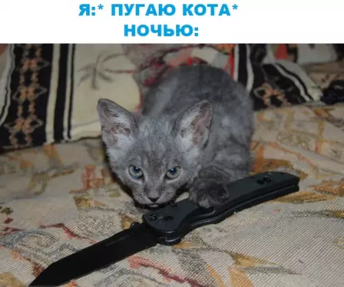 Смешная картинка №287758