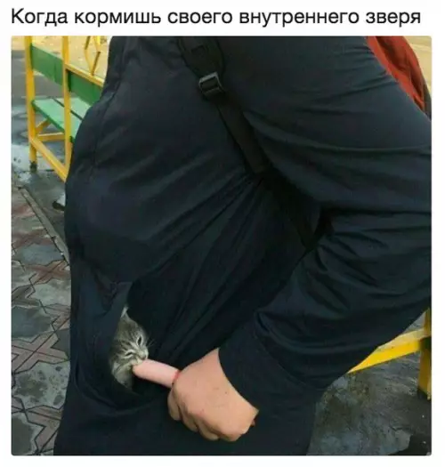 Смешная картинка №218943