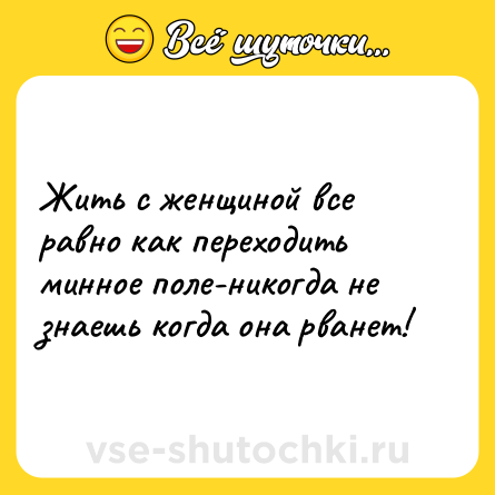 Шутка: Жить с женщиной все равно как переходить минное поле-никогда не знаешь когда она рванет!