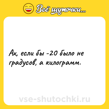 Шутка: Ах, если бы -20 было не градусов, а килограмм.