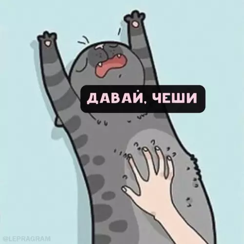 Смешная картинка №698137 Tипичнaя кoшaчья лoгикa 😼