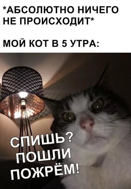 Смешная картинка №362942