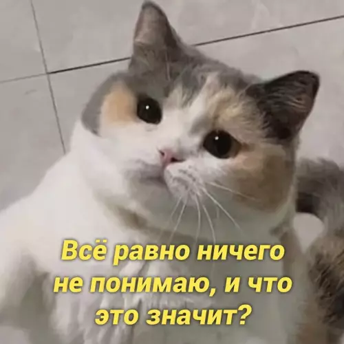 продолжение Смешная картинка №658481