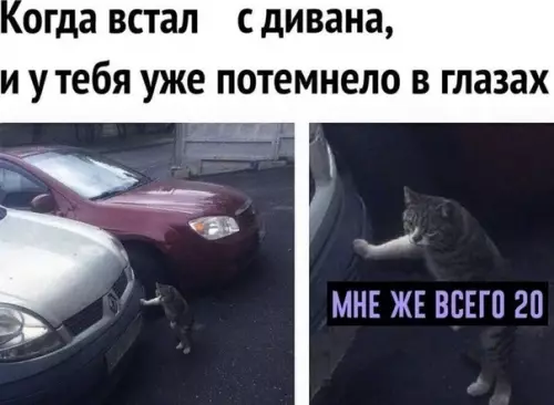 Смешная картинка №510845