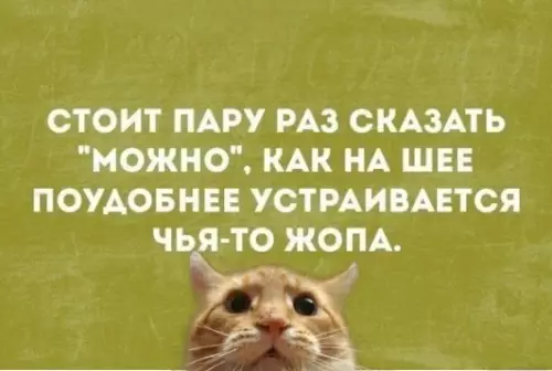 Смешная картинка №317658