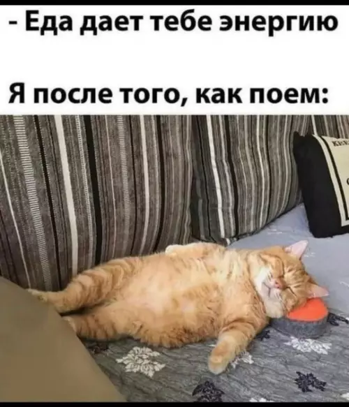Еда или сон? Выбор очевиден! 😴 - - Еда дает тебе энергию Я после того, как поем: