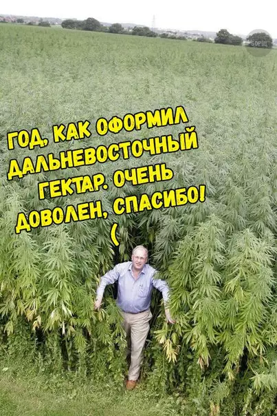 Смешная картинка №243998