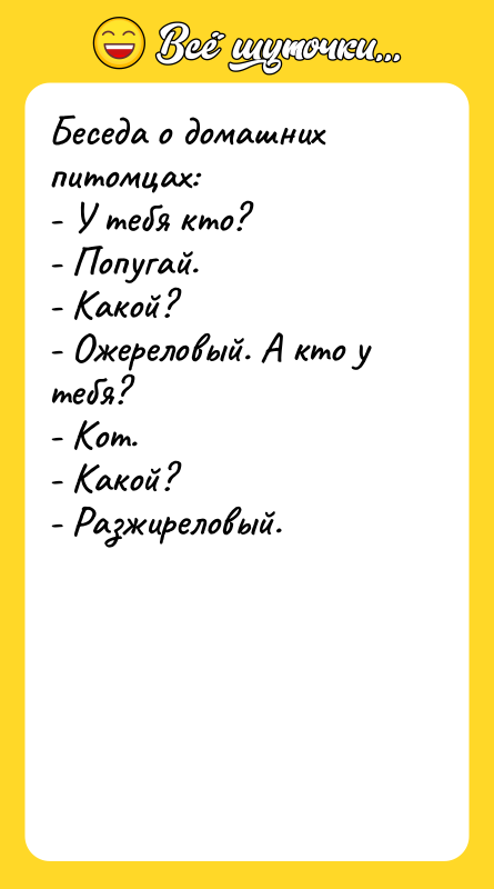 Беседа о домашних питомцах:  - У тебя кто? 